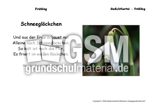 Schneegloeckchen-Storm.pdf